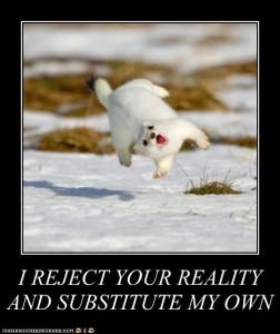 substitute reality lolcat