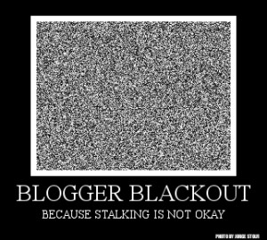 a black and white photograph of white noise with the words "Blogger Blackout. Because Stalking is not okay" underneath.