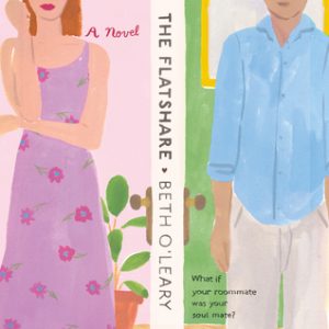 cartoon type cover with a red-haired white girl on the left and a brown-skinned guy in a blue shirt on the right with a wall in between where the titles are written as on the spine of a book